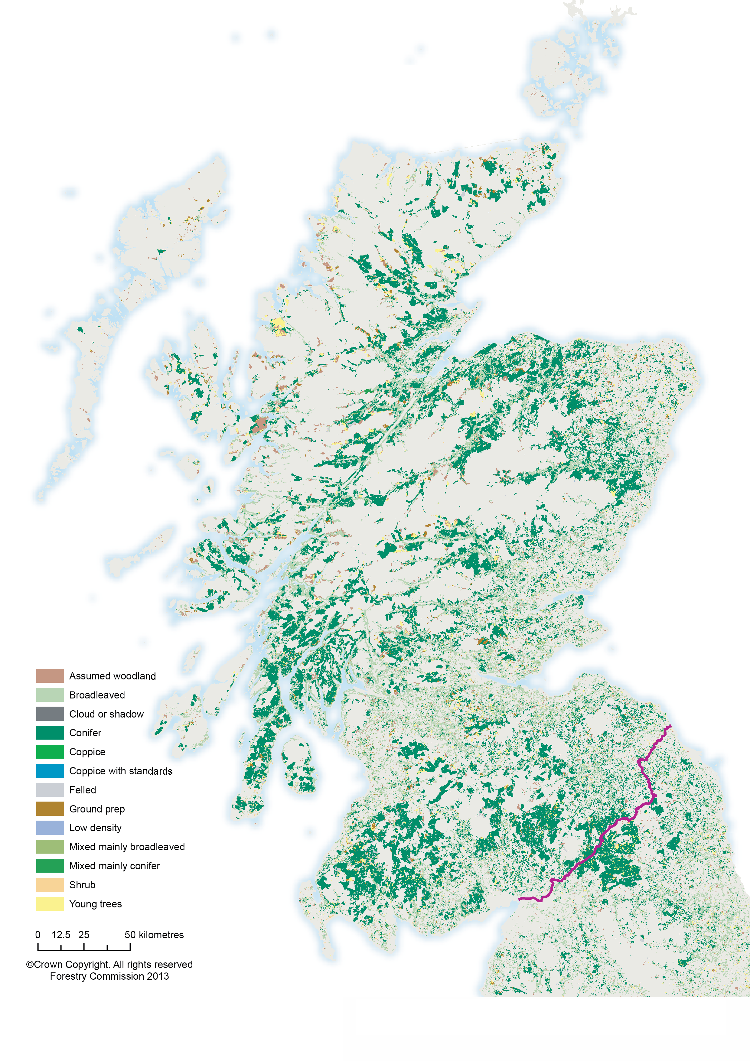 The majority of woodland in Scotland is coniferous