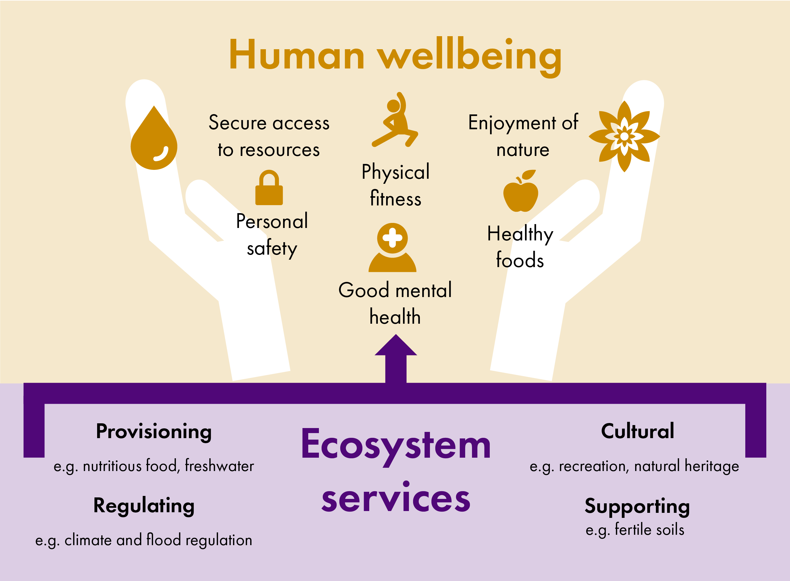 Addressing The Nature Crisis: COP15 And The Global Post-2020 ...