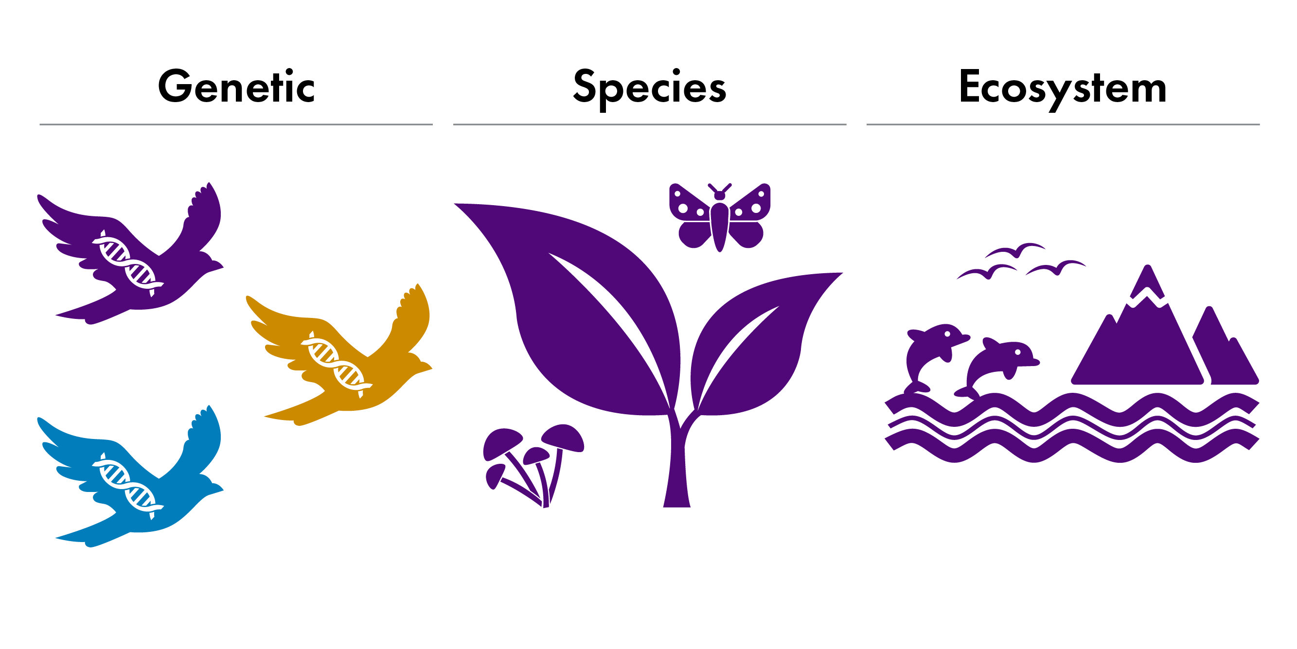 addressing-the-nature-crisis-cop15-and-the-global-post-2020