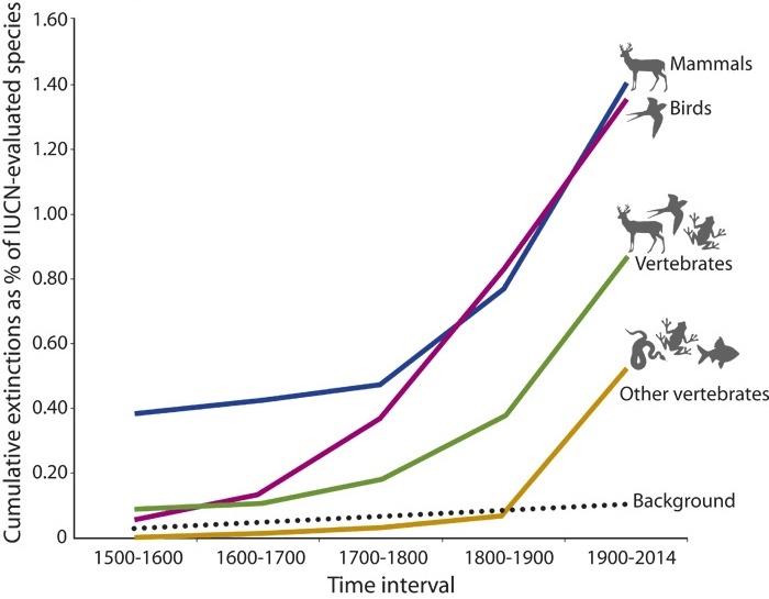 Graph showing the extinction rate of vertebrates between 1500 and 2014 - with a strong acceleration in extinctions from 1700-1800 to present day. The greatest cumulative extinctions as a percentage of IUCN-evaluated species is experienced by mammals and birds.