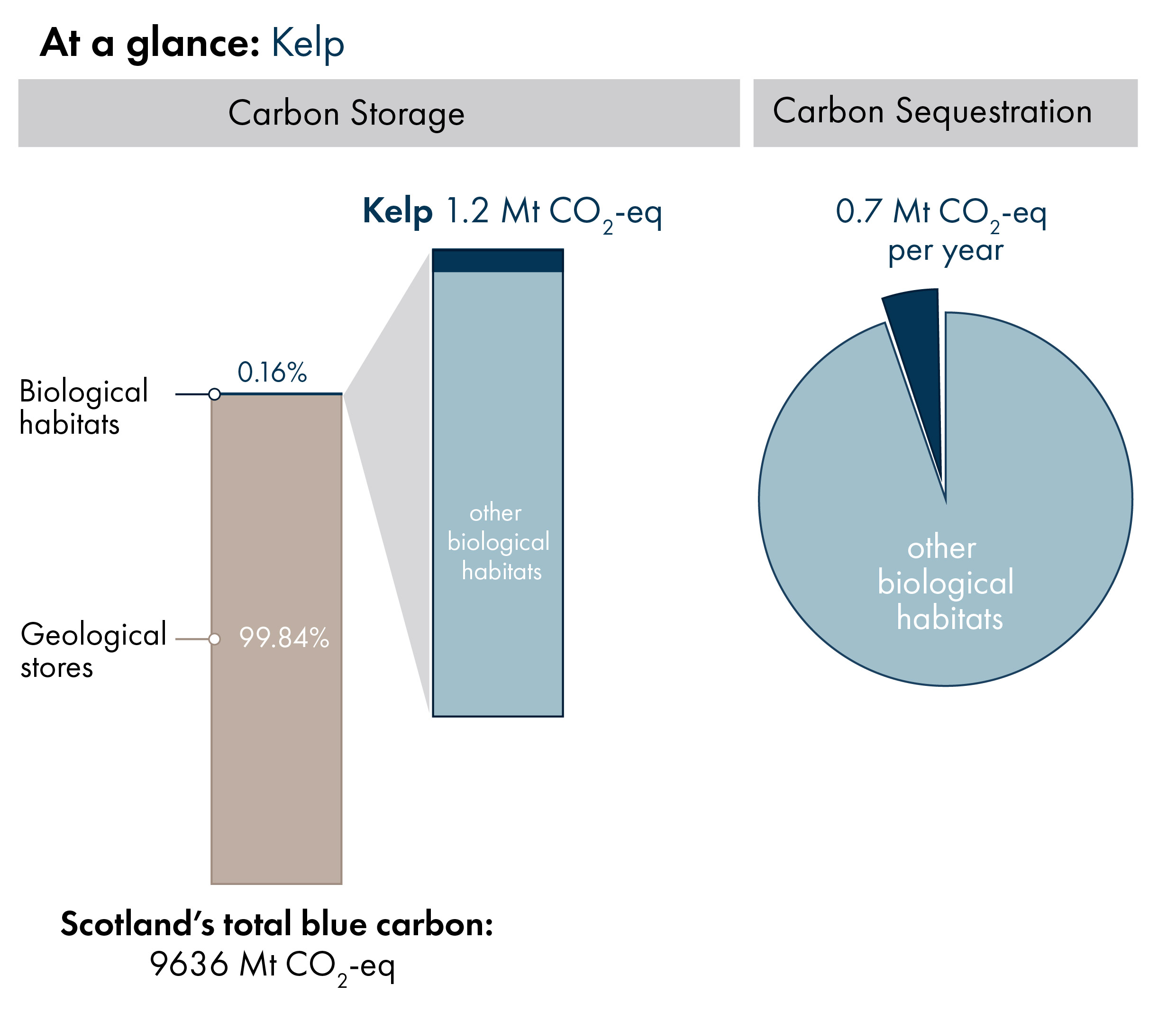 Bar charts showing the proportion of Scotland's blue carbon which is in geological stores (99.84%) versus carbon in biological habitats and species (0.16%). Inset bar chart shows the proportion of carbon in biological habitats which is kelp carbon storage (1.2 megatonnes of carbon dioxide equivalent). Pie chart showing, out of all biological habitats, the proportion which is sequestered annually by kelp.