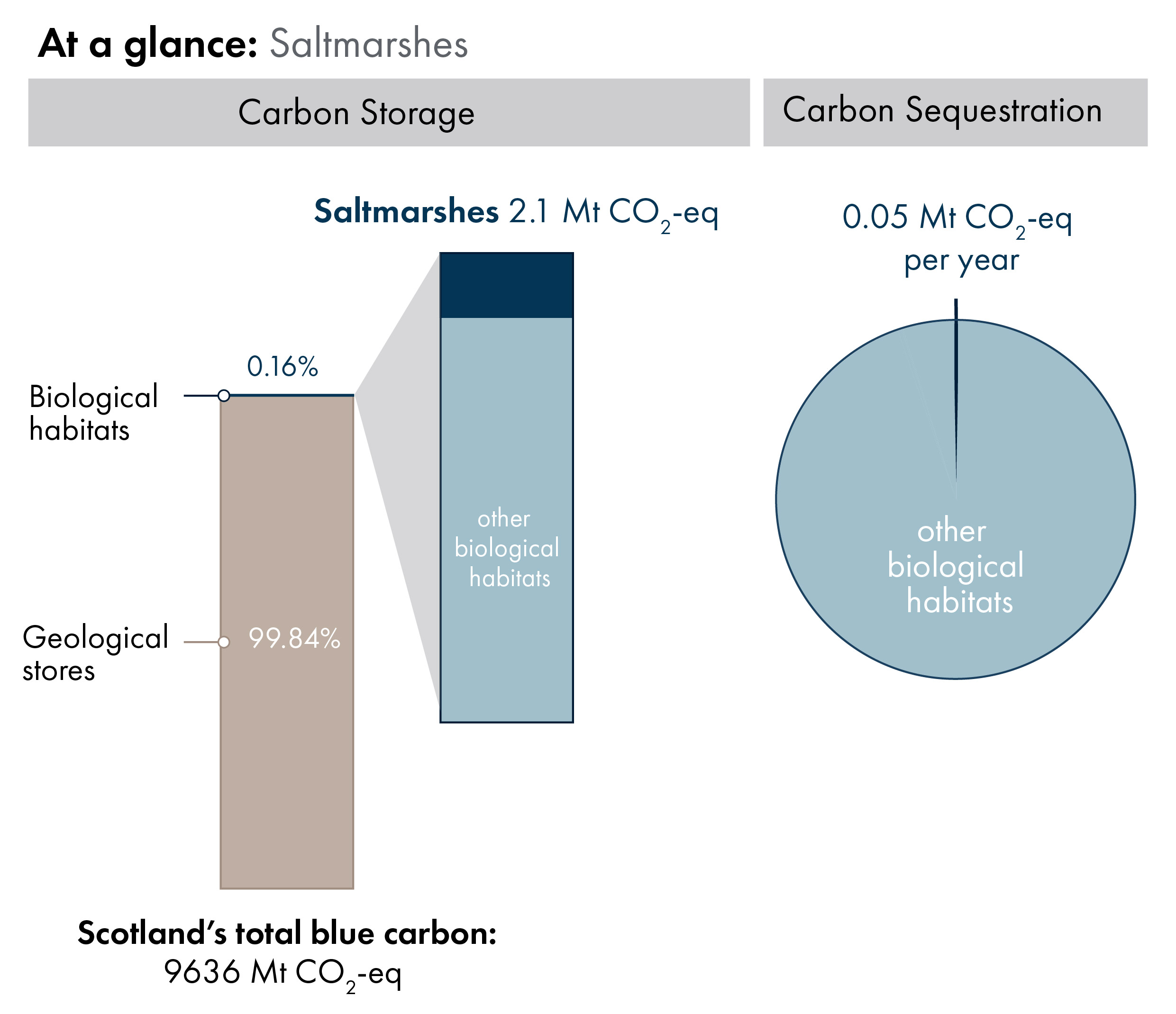 Bar charts showing the proportion of Scotland's blue carbon which is in geological stores (99.84%) versus carbon in biological habitats and species (0.16%). Inset bar chart shows the proportion of carbon in biological habitats which is saltmarsh carbon storage (2.1 megatonnes of carbon dioxide equivalent). Pie chart showing, out of all biological habitats, the proportion which is sequestered annually by saltmarshes.