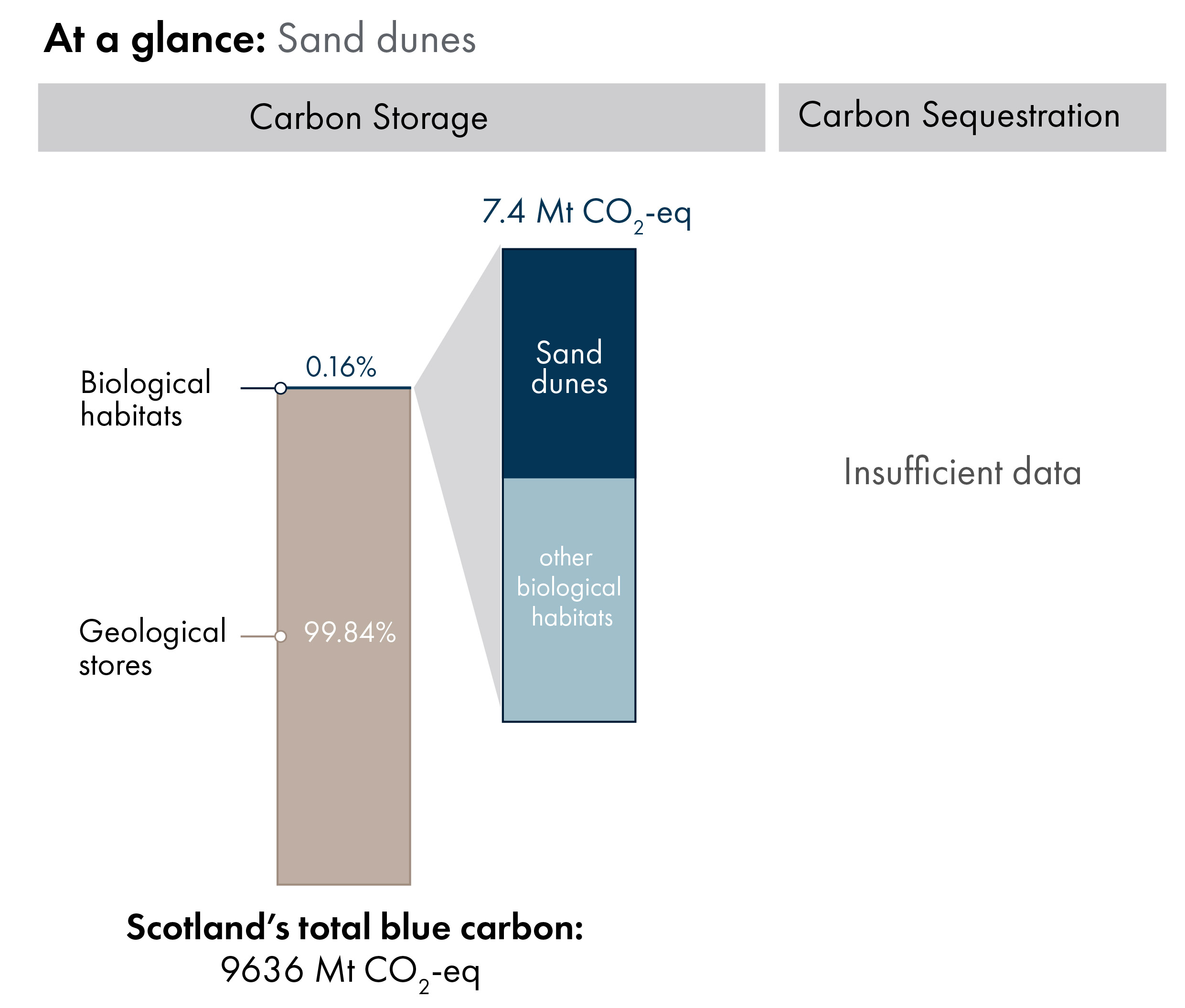 Bar charts showing the proportion of Scotland's blue carbon which is in geological stores (99.84%) versus carbon in biological habitats and species (0.16%). Inset bar chart shows the proportion of carbon in biological habitats which is sand dune carbon storage (7.4 megatonnes of carbon dioxide equivalent).