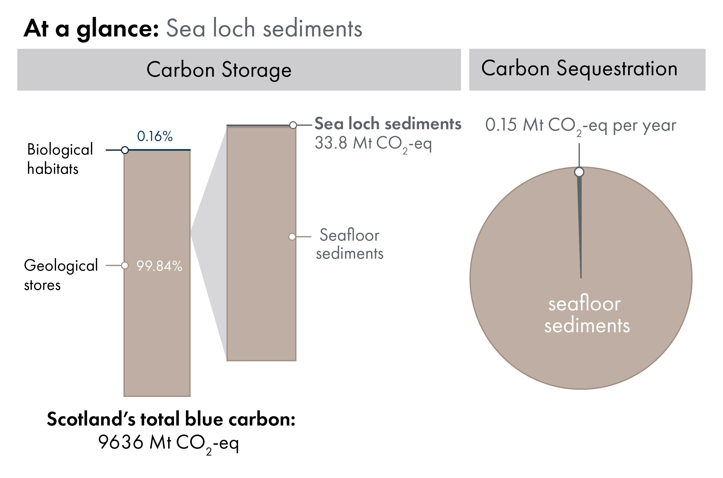 Bar charts showing the proportion of Scotland's blue carbon which is in geological stores (99.84%) versus carbon in biological habitats and species (0.16%). Inset bar chart shows the proportion of carbon in biological habitats which sea loch sediment carbon storage (1.2 megatonnes of carbon dioxide equivalent). Pie chart showing, out of all geological stores, the proportion which is sequestered annually by sea loch sediments.