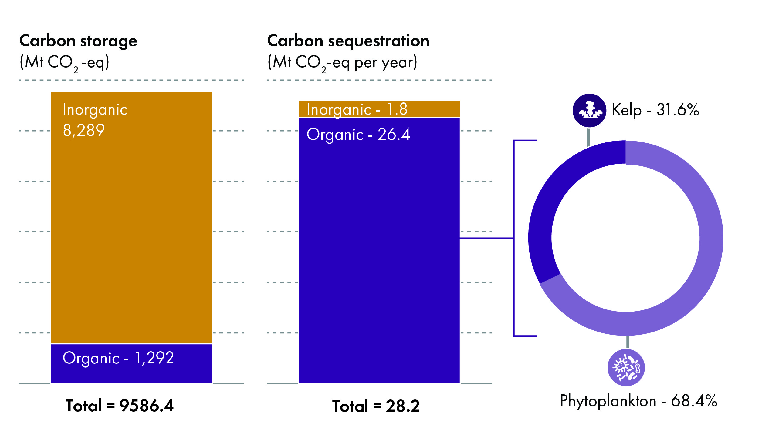 Bar graphs showing the contribution of inorganic carbon and organic carbon to seafloor sediment carbon storage and carbon sequestration. Pie chart of the proportion of organic carbon sequestration that is kelp derived (31.6%) and phytoplankton derived (68.4%).