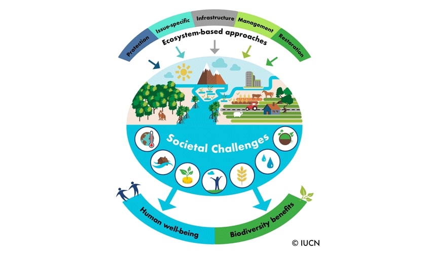 Schematic image depicting the preliminary principles underpinning Nature-based solutions, including ecosystem approaches (protection,issue-specific,infrastructure,management and restoration) to societal challenges, leading to human well-being and biodiversity benefits.