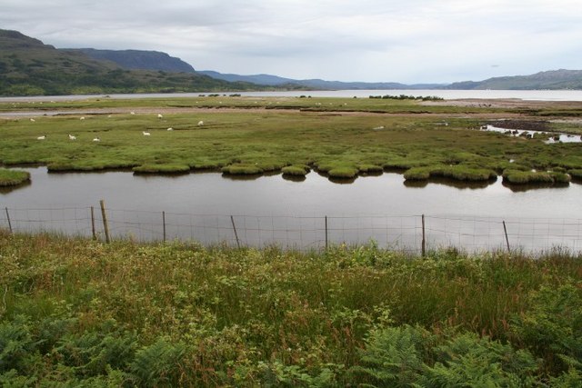 Photographic image of saltmarsh flats at the end of Upper Loch Torridon, observed from the National Trust for Scotland wildlife hide
