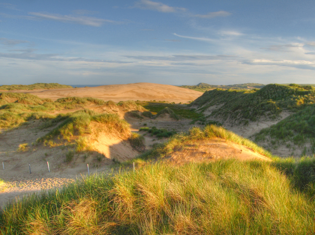 Photographic image of mobile sand dune in Forvie Nature Reserve