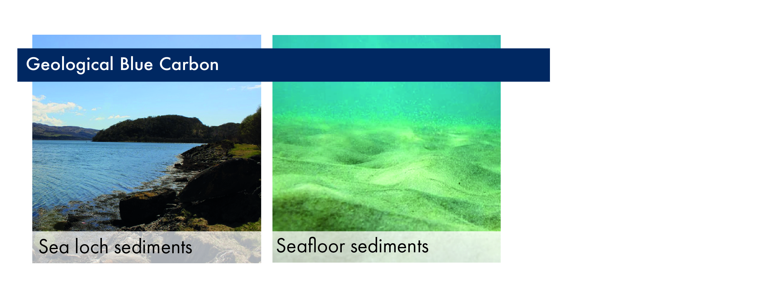 Photographic images of a Scottish Sea Loch and a sea bed