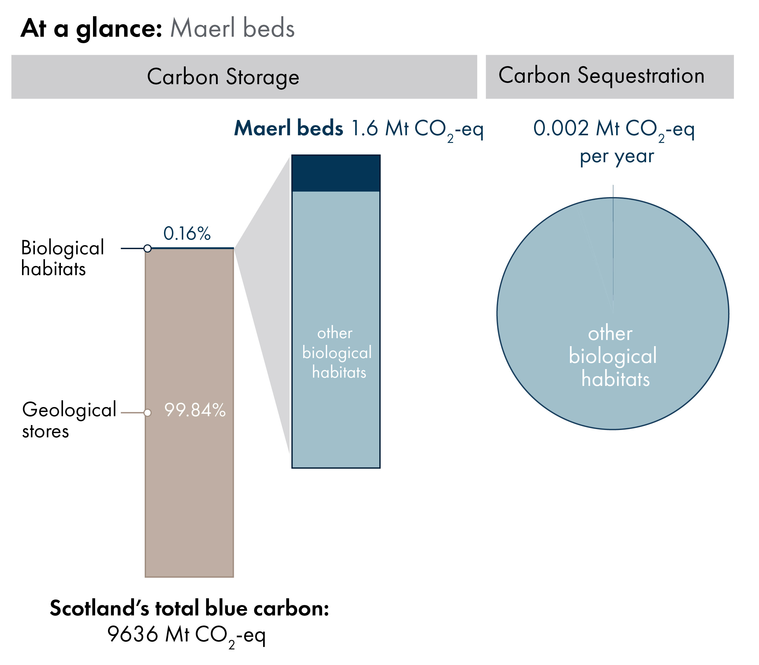 Bar charts showing the proportion of Scotland's blue carbon which is in geological stores (99.84%) versus carbon in biological habitats and species (0.16%). Inset bar chart shows the proportion of carbon in biological habitats which is maerl/maerl bed carbon storage (1.6 megatonnes of carbon dioxide equivalent). Pie chart showing, out of all biological habitats, the proportion which is sequestered annually by seagrasses.
