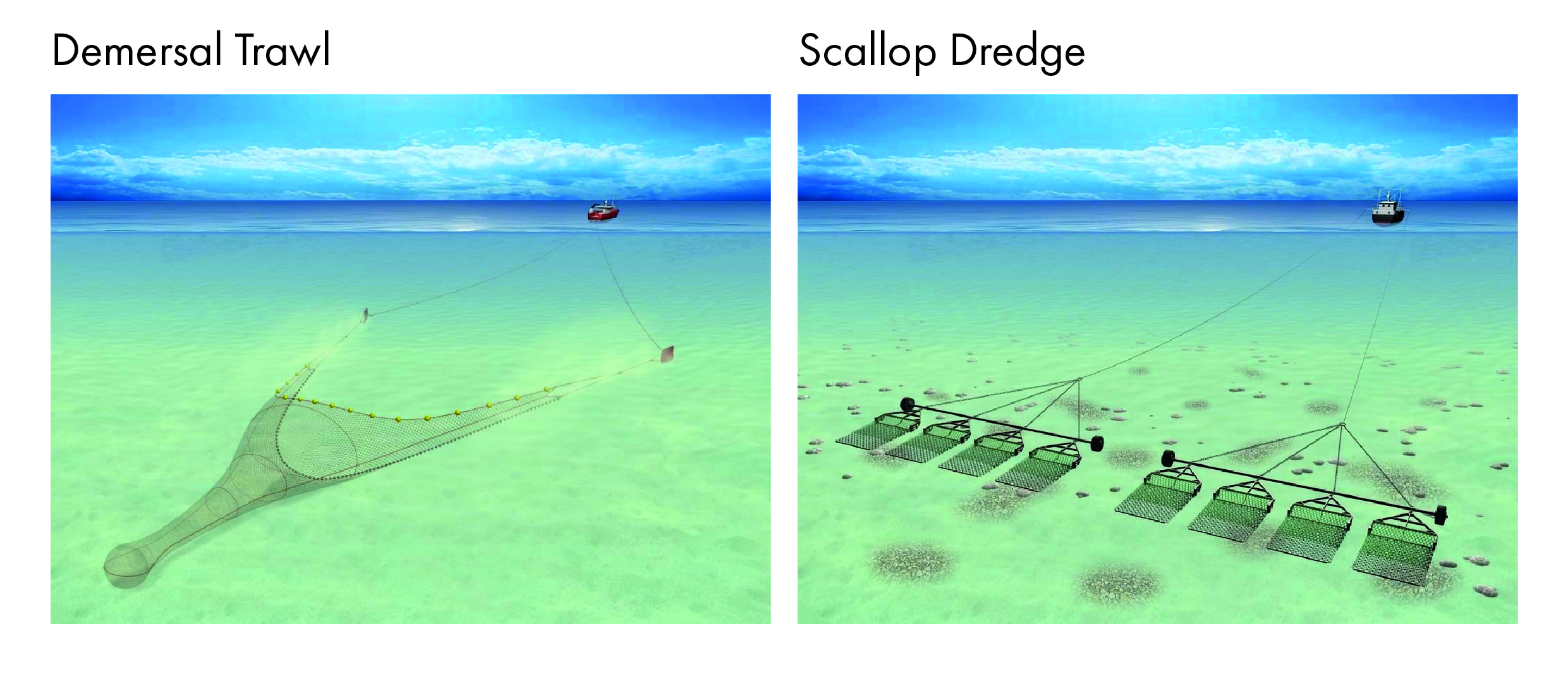 Schematic images of types of two types of mobile-fishing equipment - demersal trawl and scallop dredge