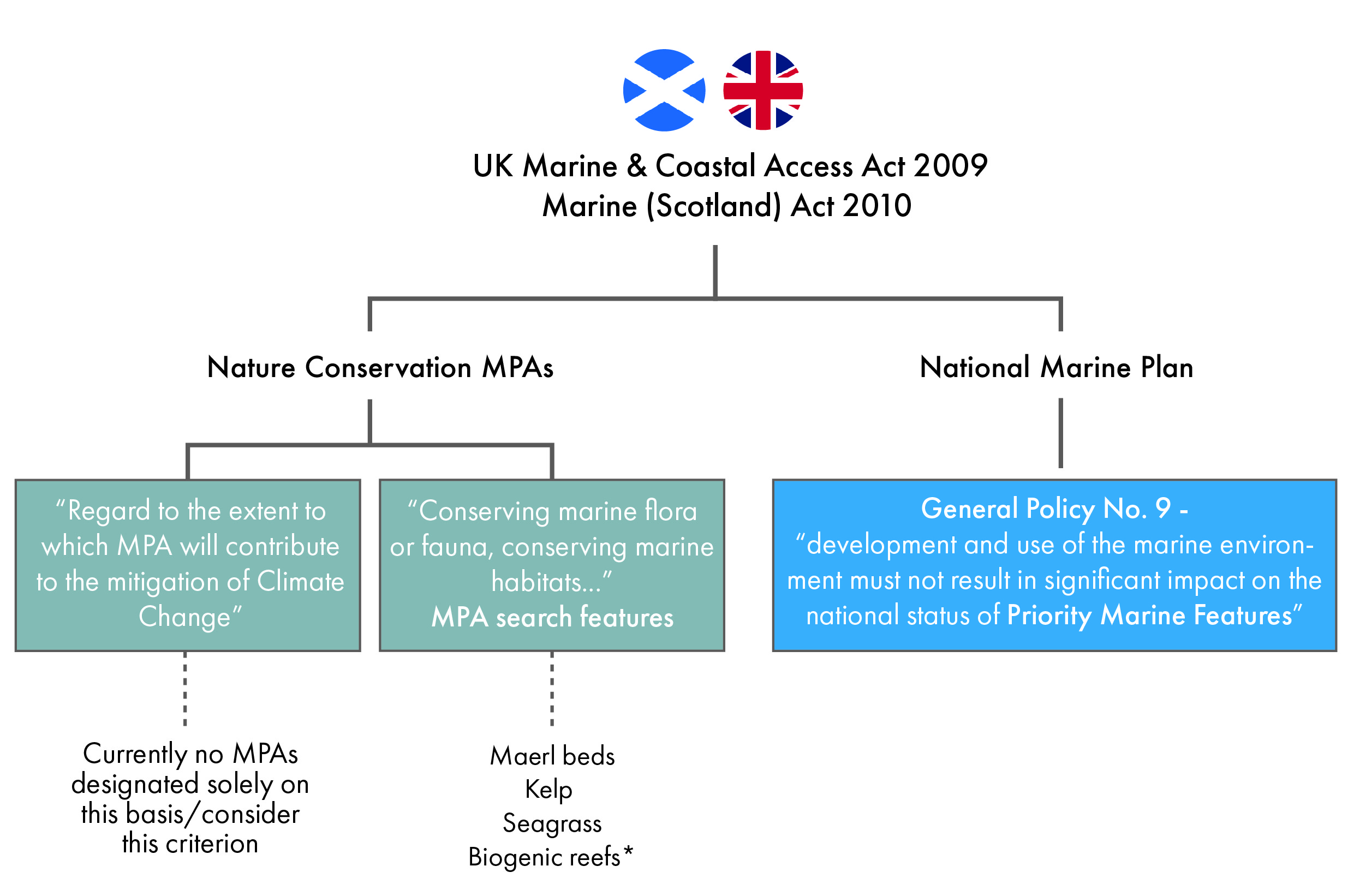 Diagram showing the current protection, and opportunities for protection, of listed blue carbon species/habitats under the Marine Acts (UK Marine & Coastal Access Act 2009 and Marine (Scotland) Act 2010).
