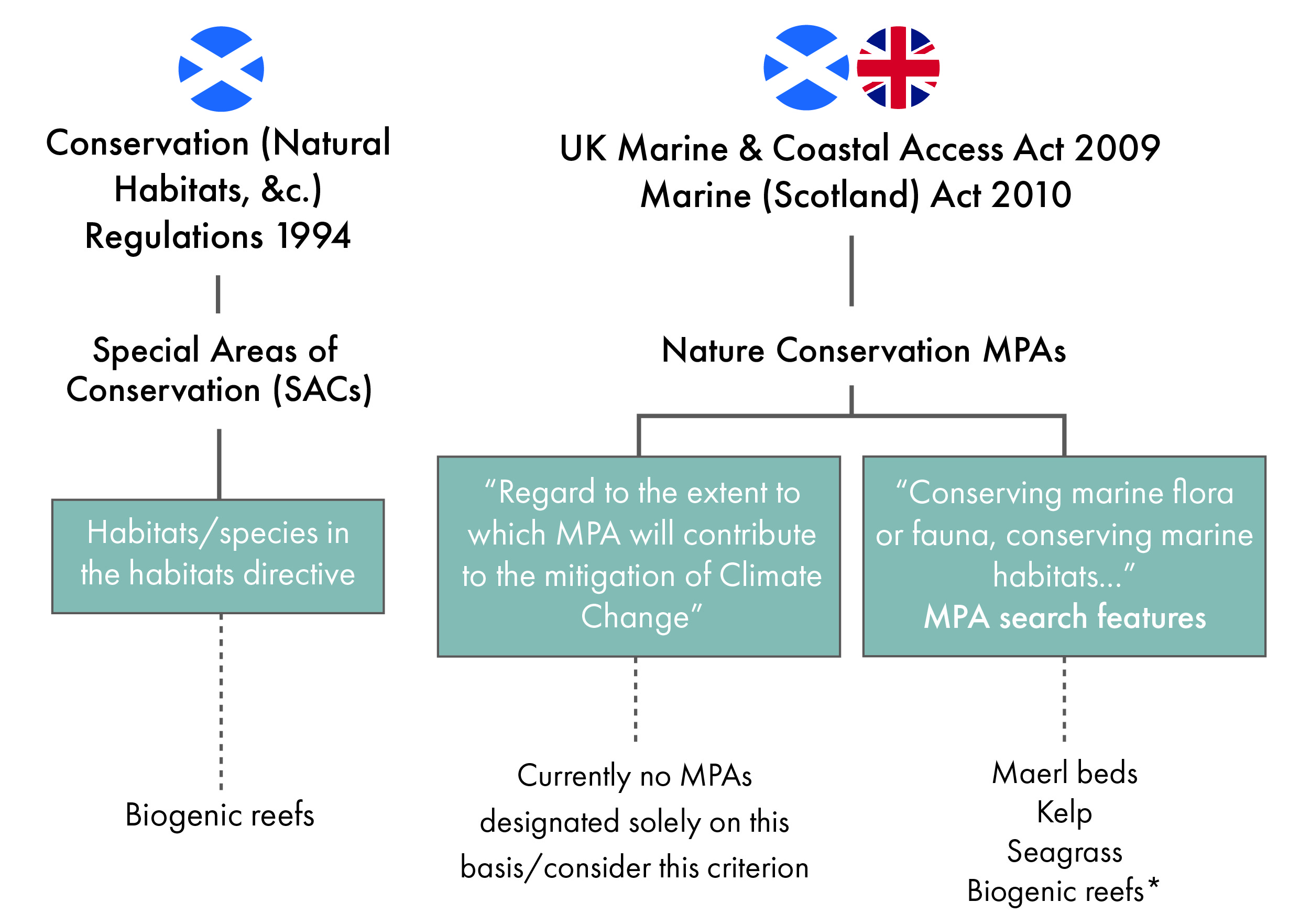 Diagram showing blue carbon features that can be used to designate Nature Conservation Marine Protected Areas (Under the Marine Acts) and Special Areas of Conservation (Under the Conservation (Natural Habitats, &c.) Regulations 1994).