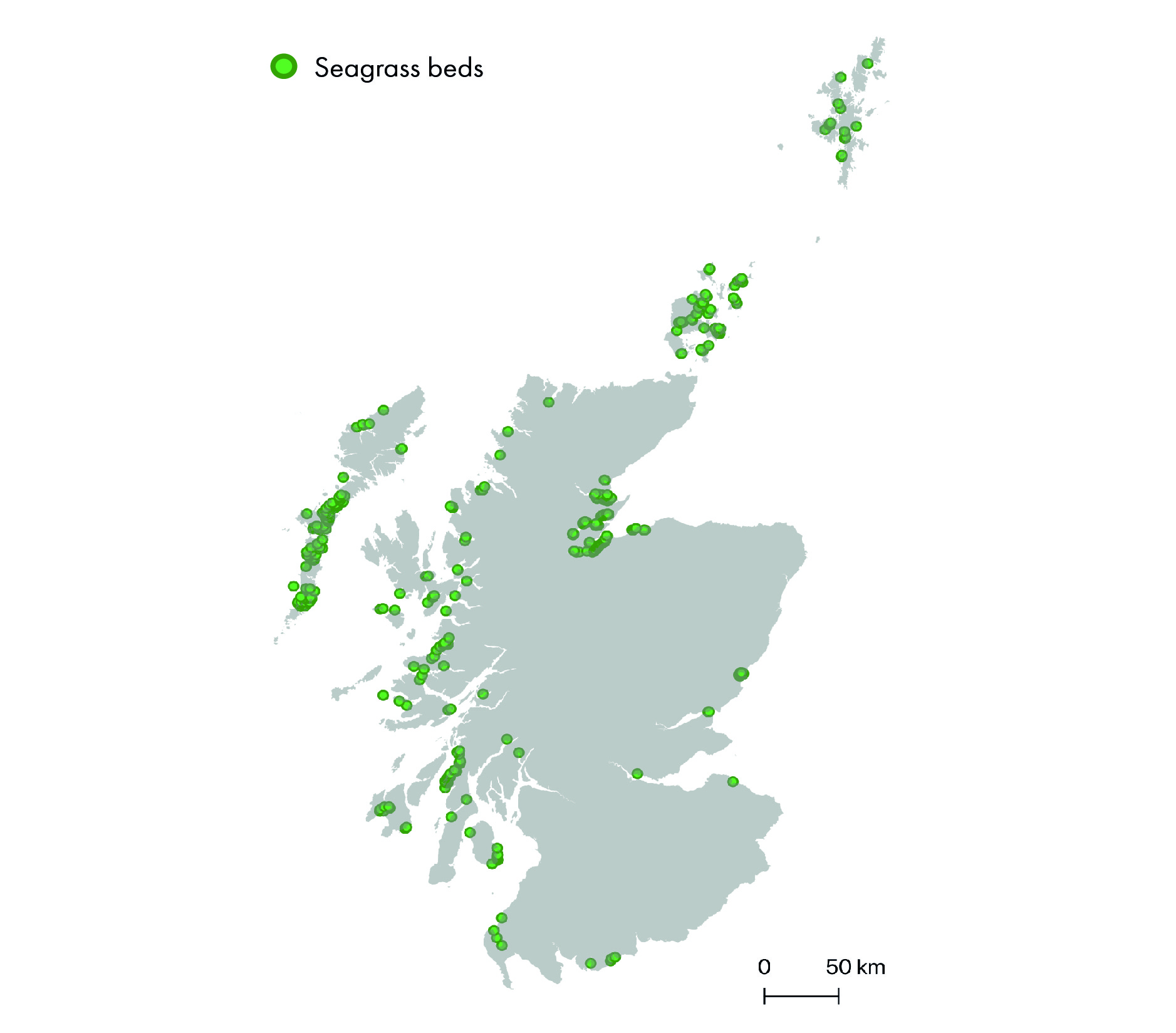 Map of Scotland showing points where records of seagrass beds have been observed in the Geodatabase of Marine features adjacent to Scotland (GeMS) (V9i25).