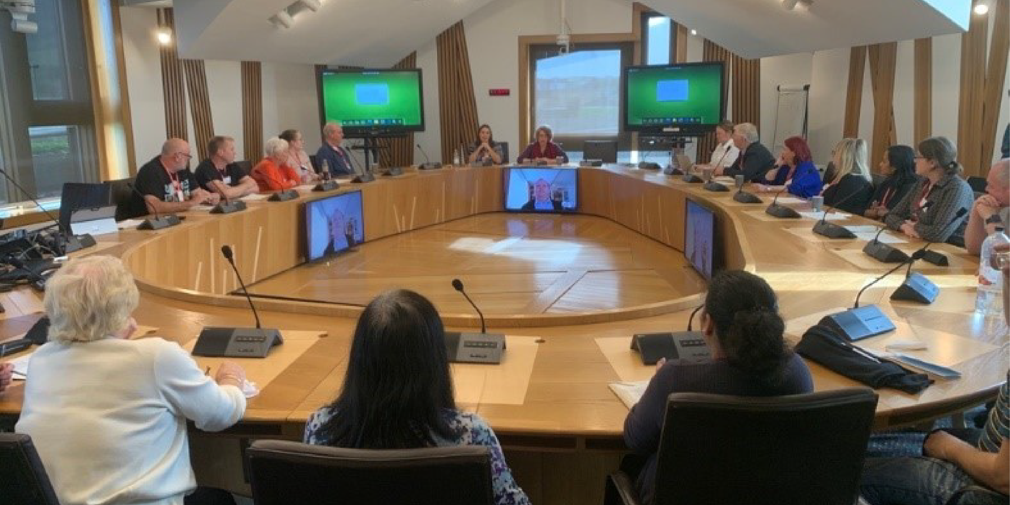 Image of Citizens' Panel members sitting around a Committee room table putting questions to witnesses who are sitting at the far end of the table.