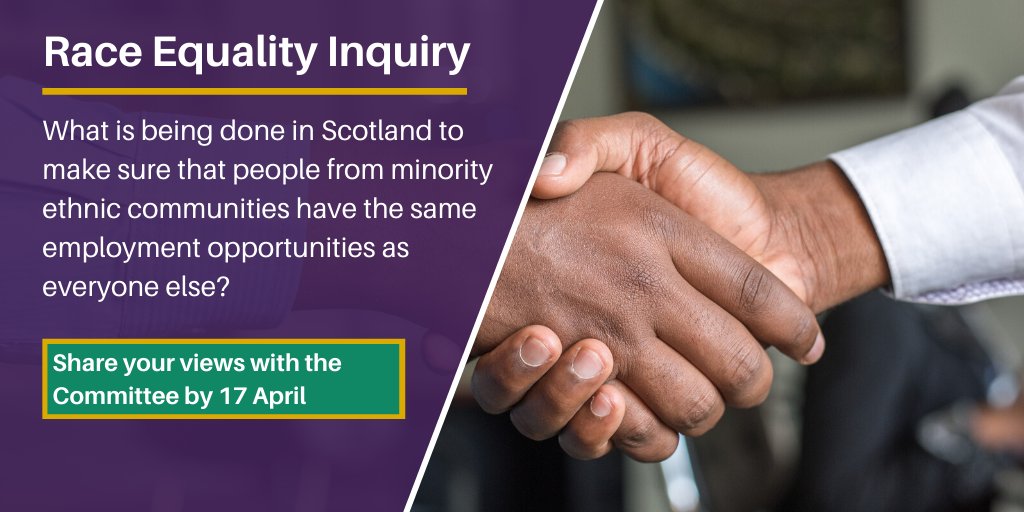 Image showing twitter card used for the Race Equality, Employment and Skills inquiry