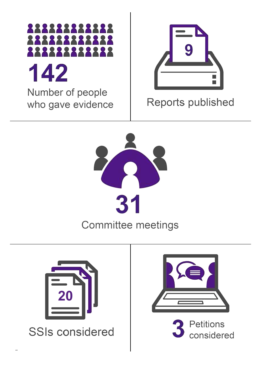 Infographic illustration of NZET Committee activity over year showing 31 meetings, 9 reports, 142 witnesses, 3 petitions and 20 SSIs