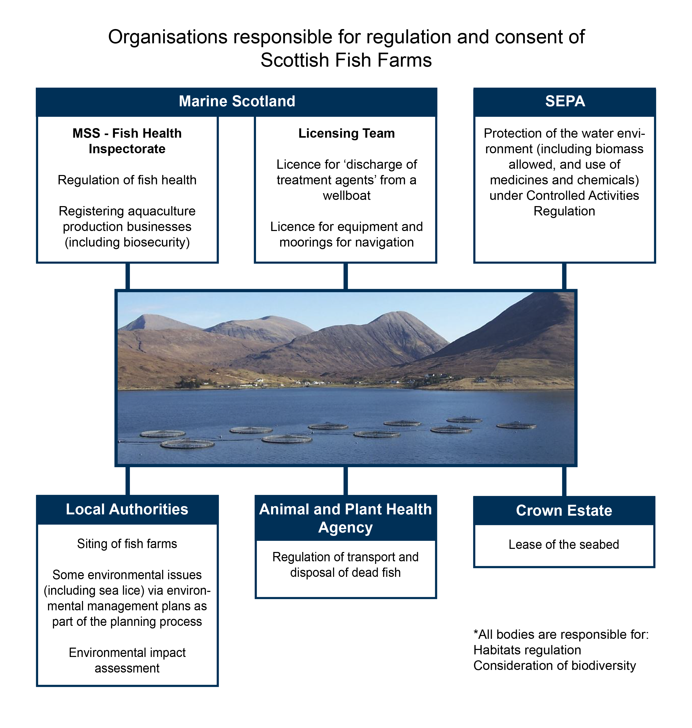 Infographic showing the organisations responsible for the regulation and consent of Scottish Salmon Farms (SPICe)